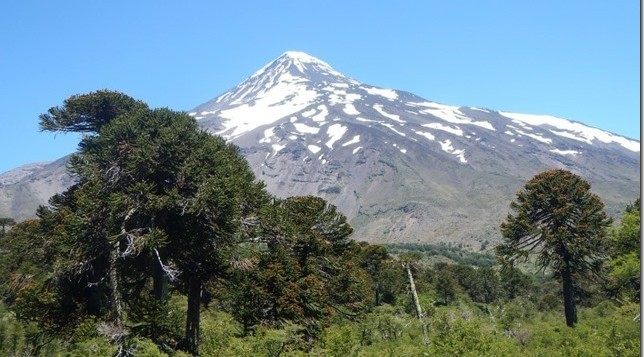 Tours around Pucon Chile