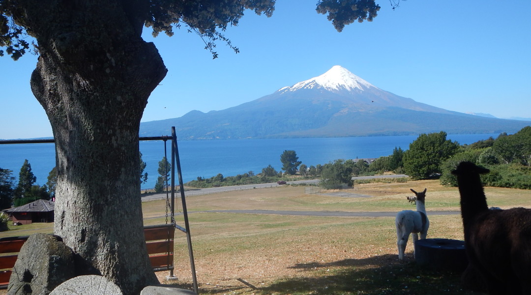 Tour Puerto Varas & Puerto Montt